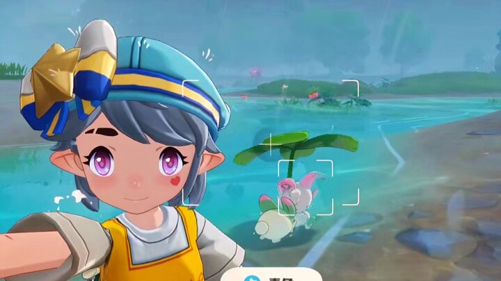 Để phòng trường hợp bạn không biết, Thỏ Xuân chỉ che ô cho thỏ, chứ không che cho người.