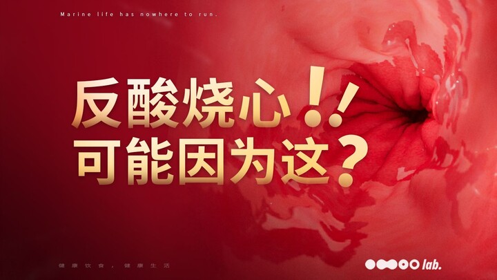 99% mọi người không biết rằng chứng trào ngược axit và nóng rát ngực có thể xuất phát từ nó