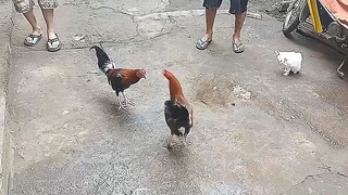 my 5months old sweater x Milsims 🥰