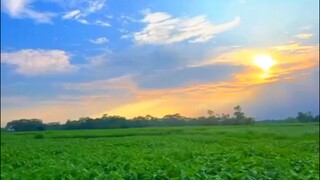 দুনিয়াদার বন্ধু ছাড়েন Abu Taw Haa Muhammad Adnan #abutohamohammadadnan #adnan #motivation