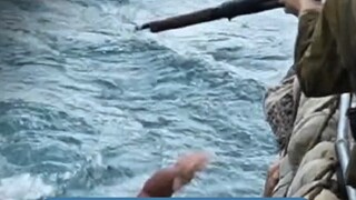 就是要让世界看看中国人的不屈与良善