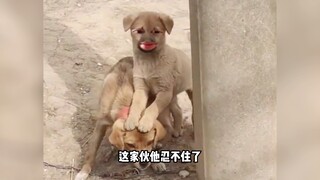 反手就是一个制裁