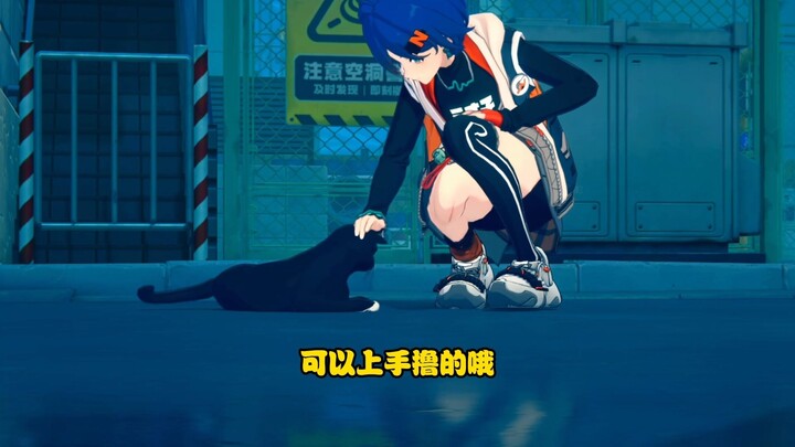 قطة جوي كيو لين تتفوق بسهولة على جميع القطط الأخرى! من يوافق ومن يعارض؟