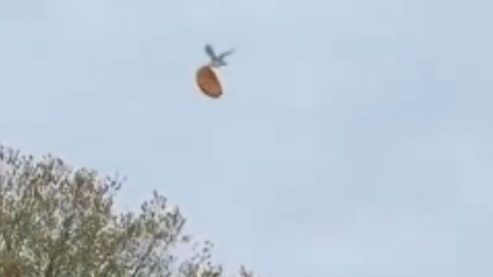 The drone pilot has picked up the meal.