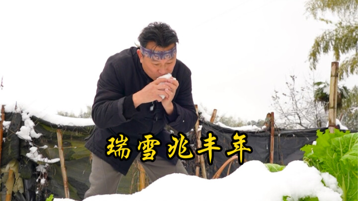 ผักใบเขียวหลังหิมะตกจะมีรสหวานกว่า หิมะงามบ่งบอกถึงปีแห่งความอุดมสมบูรณ์