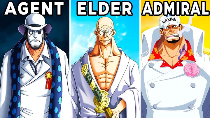 How The World Government System In One Piece Works