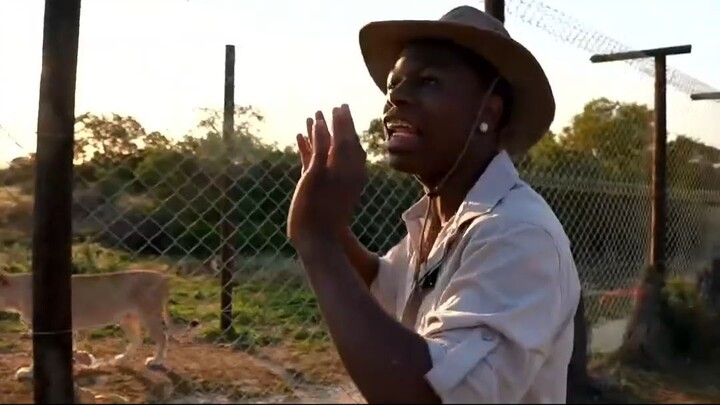Rakai and Sydney "Tyla's sister" visit the Safari in South Africa and gets charged by another lion