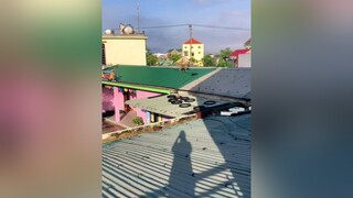 Chỉ là đi ngắm gái tí thôi mà mẹ rồi đi luôn trên nhà ng ta 😳yêuthucung chó_cưng  seenbyturkey