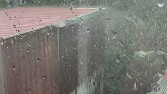 愿往后余生，不负期盼，不忘花期，每天都是好天气。干饭喽！