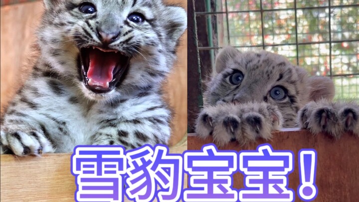 เดาว่าคุณชอบ