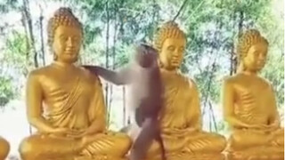 "Difficulty 82" Douban 8.3