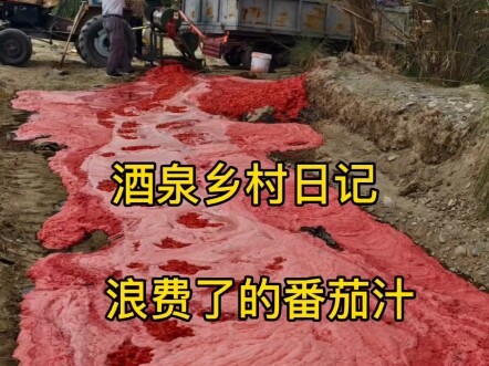 Wasted tomato juice