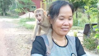 Grandma Put Princes Maya On The Shoulder Ridding Bicycle Back Home After Visit Pagoda