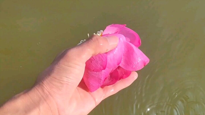 อาการข้างเคียงหลังไปเก็บหอยที่ต้าชิง