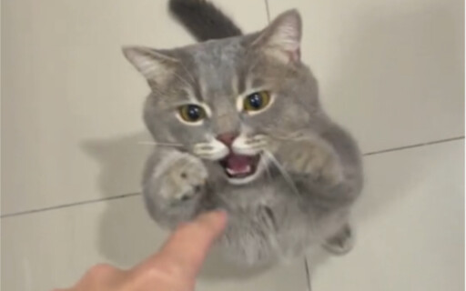 If you don’t have appearance-related anxiety, don’t watch.