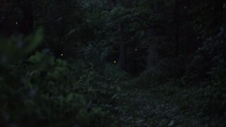 Mahiwagang Gamo-Gamo Part2 teaser
