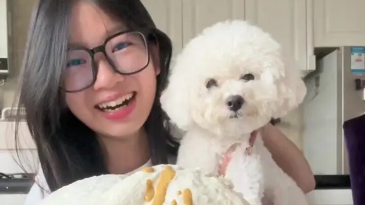 Bánh kem chó kỳ quặc… #Tiểu Kỳ古怪 #TiếngThànhPhốĐường Sơn