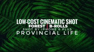 Forest B-Roll|Sample of Low-Cost Cinematic Shot Using Mobile Phone|On Iphone 6P|JMLizay Official