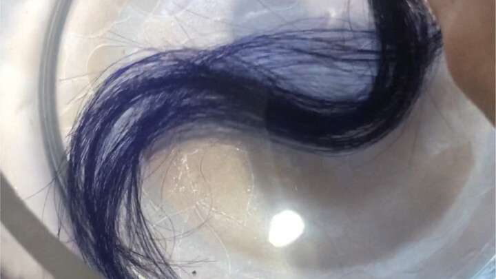 Can you really dye your black hair a true blue-black without bleaching it first?