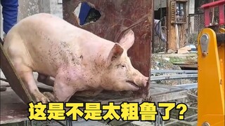 นี่มันหยาบเกินไปหรือเปล่า?