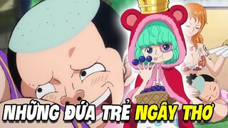 Những Gương Mặt EM BÉ Còn Lâu Mới 18 Nổi Bật | One Piece