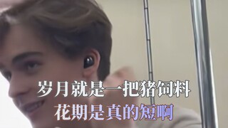 果然岁月就是一把猪饲料，花期是真的短啊