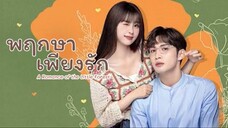 ตอน 35 (ตอนจบ)