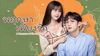 ตอน 14