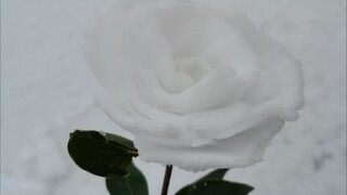 What a complete mismatch!