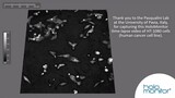 Time-lapse imaging of HT-1080 cells by Pasqualini Lab | HoloMonitor®