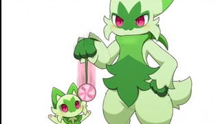[New Leaf Cat's Daily Life] New Leaf Cat and Dilei Cat playing