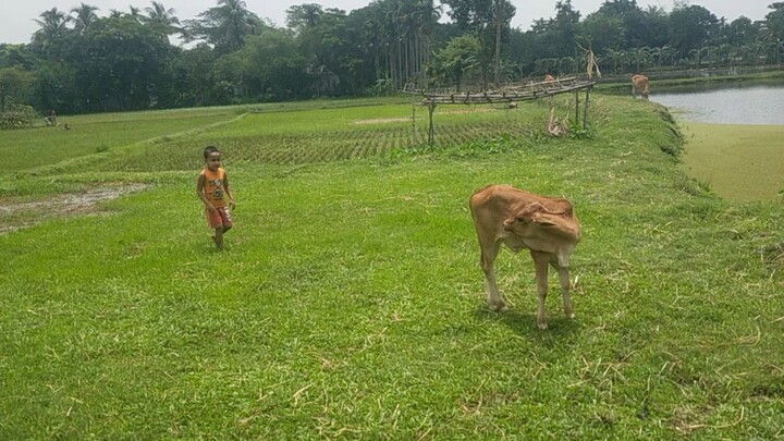 আপনার আমার ছোটবেলার শৈশব 😂🥰😅