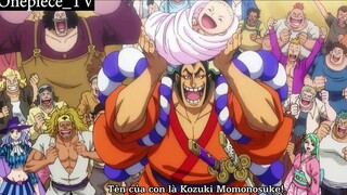 Cái ngày cậu ấm momonosuke ra đời #Onepiece