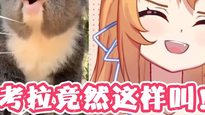 Saya tahu koala menyebut ini! Aku sama seperti binatang lainnya! ! !