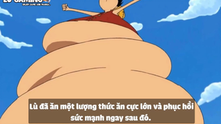 Top 7 Trái Paramecia Phòng Thủ Cực Mạnh Trong One Piece p2