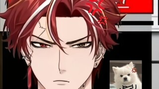 Yes, yes, our red-haired puppy is really cute!!