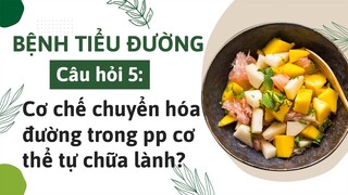 Bệnh tiểu đường: Cơ chế chuyển hóa đường trong phương pháp cơ thể tự chữa lành là như thế nào?