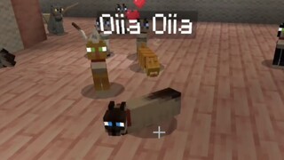 actions&stuff更新了oiiaioooooiai猫