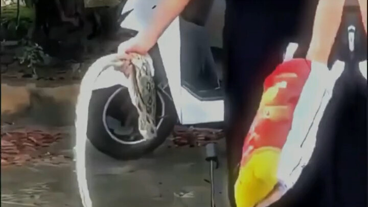 ฉันรู้สึกเหมือนกำลังซื้อผักที่ตลาดสดตลอดเวลา