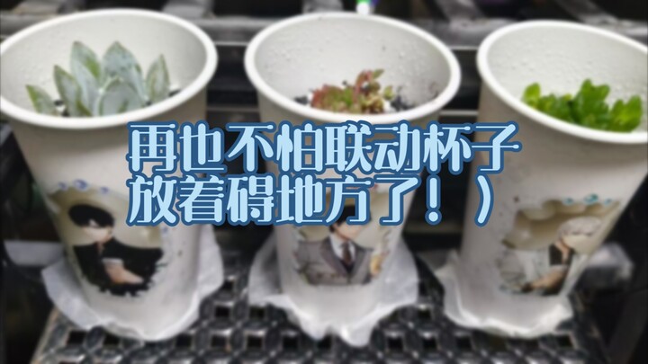 当你联动杯子太多，又想给它找用处时belike