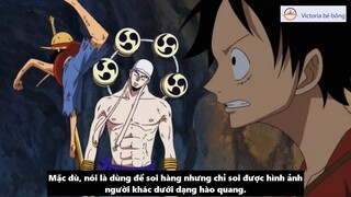 Victoria bé bỏng - Review - Trái Ác Quỷ và Haki Cái Nào Mạnh Hơn #anime #schooltime