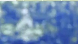 Người họa sĩ nghĩ rằng nguồn cảm hứng của ông đối với nàng thơ là nghệ thuật, nhưng ông không biết đ