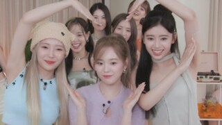 JYP日本女团NiziU韩国出道曲《HEARTRIS》特别接力舞蹈视频公开！