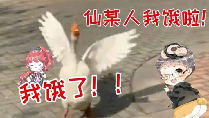A hungry royal goose is begging for food... [Wang Danniang × Xian Moumou]
