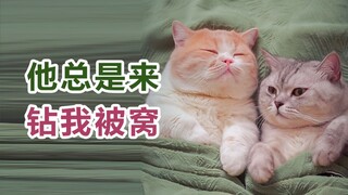 愿你我所爱之人，就是最后的人