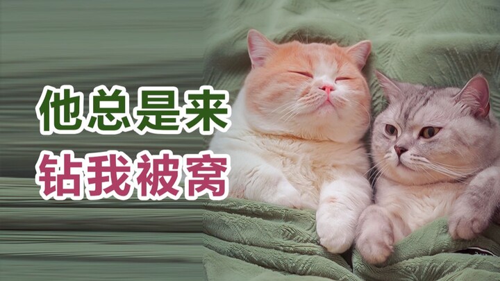 Semoga orang yang kita cintai adalah orang terakhir