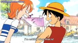 When nami curios about luffy.