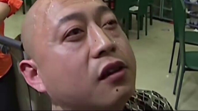 【Meme kucing】Minum air kencing kuda bikin sombong