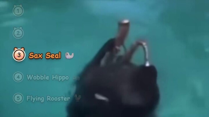 Animals Doing the Impossible: Flying Rooster, Sax Seal & More