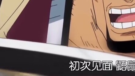 Hawkeye's evaluation of Luffy: The most powerful force on this sea, able to turn enemies and some pe